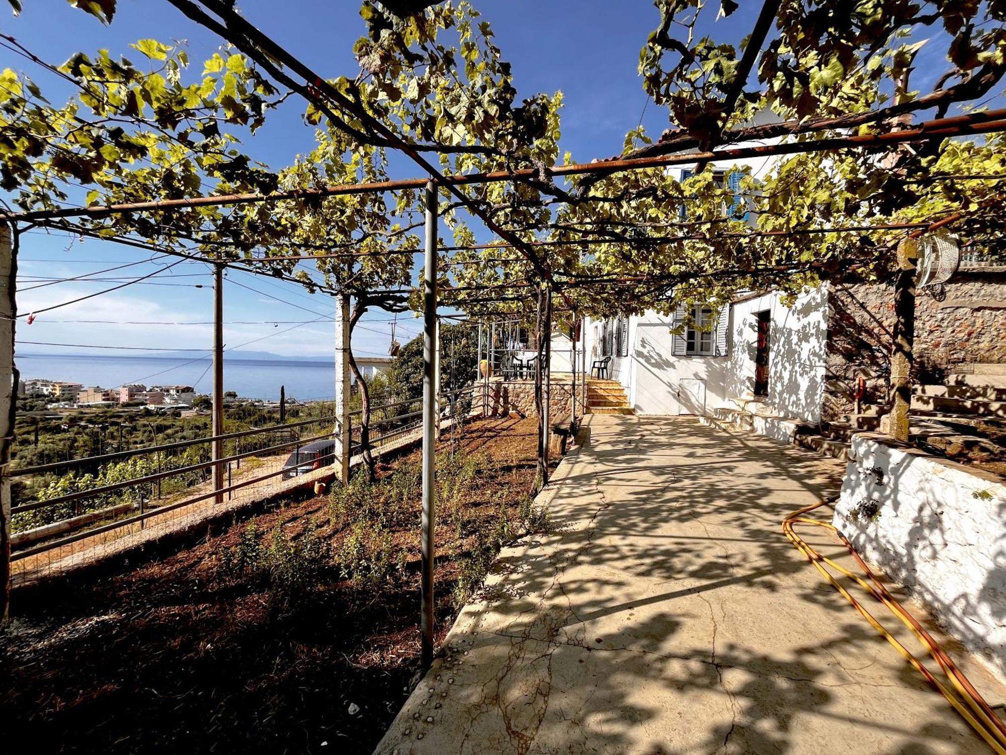 Sea Horizon House Alexis Hotel Himare Exterior photo